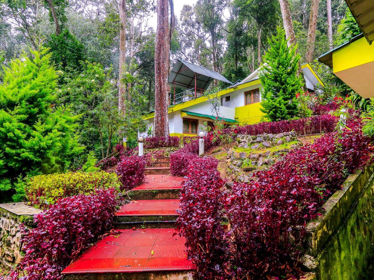 Oyo 4651 Woodpecker Resort Munnar Ngoại thất bức ảnh
